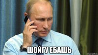  шойгу ебашь