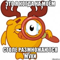 это я когда на моём столе размножаются мухи