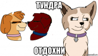 тундра отдохни