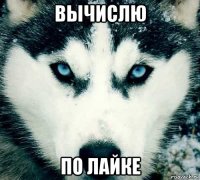 вычислю по лайке