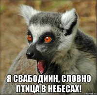  я свабодиин, словно птица в небесах!