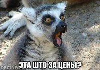 эта што за цены?