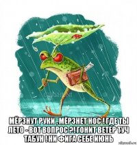 мёрзнут руки , мёрзнет нос ! где ты лето - вот вопрос ?! гонит ветер туч табун ! ни фига себе июнь