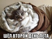  шёл второй день лета