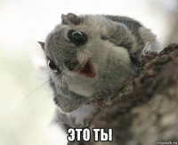  это ты