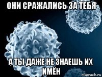 они сражались за тебя а ты даже не знаешь их имён