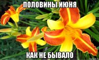 половины июня как не бывало