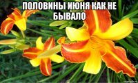 половины июня как не бывало 