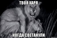 твоя харя когда светанули