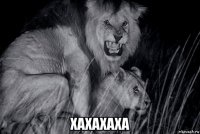 хахахаха