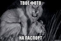 твоё фото на паспорт