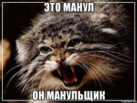 это манул он манульщик