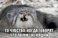  то чувство, когда говорят что пауки - не няшки