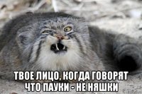 твое лицо, когда говорят что пауки - не няшки
