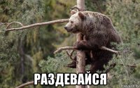  раздевайся