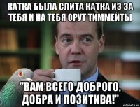 катка была слита катка из за тебя и на тебя орут тиммейты "вам всего доброго, добра и позитива!"