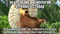 объяснение физиологии утреннего стояка просыпаюсь утром стоя- слава богу что не весь. вдруг медведица придет и не станет сразу есть...