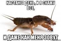 настанет день, и я скажу все, и даже как меня зовут