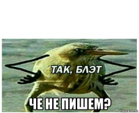  че не пишем?