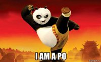  i am a po