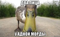два лица у адной морды