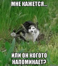 мне кажется... или он когото напоминает?