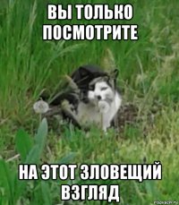 вы только посмотрите на этот зловещий взгляд