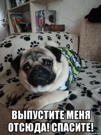  выпустите меня отсюда! спасите!