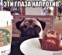 эти глаза напротив 