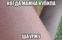 когда мамка купила шаурму