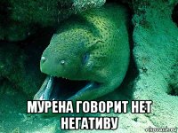  мурена говорит нет негативу