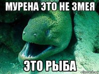 мурена это не змея это рыба
