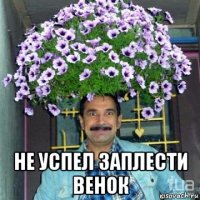  не успел заплести венок