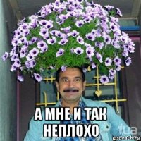  а мне и так неплохо