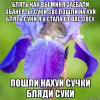 блять как вы миня заебали обанерты суки све пошли на хуй блять суки я у стала от вас свех пошли нахуй сучки бляди суки