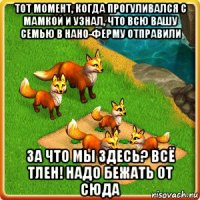 тот момент, когда прогуливался с мамкой и узнал, что всю вашу семью в нано-ферму отправили за что мы здесь? всё тлен! надо бежать от сюда