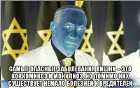  самые опасные заболевания вишни – это коккомикоз и монилиоз, но помимо них существует немало болезней и вредителей