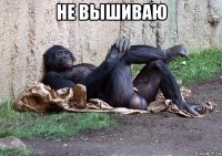 не вышиваю 