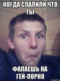 когда спалили что ты фапаешь на гей-порно