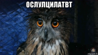 ослулцилатвт 
