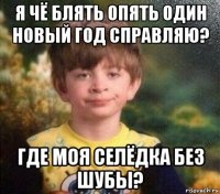 я чё блять опять один новый год справляю? где моя селёдка без шубы?