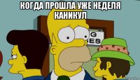 когда прошла уже неделя каникул 