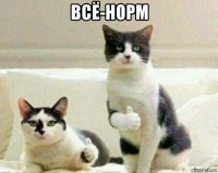 всё-норм 