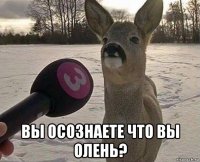  вы осознаете что вы олень?