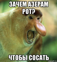 зачем азерам рот? чтобы сосать