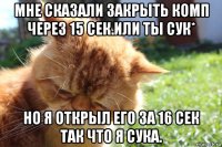 мне сказали закрыть комп через 15 сек.или ты сук* но я открыл его за 16 сек так что я сука.