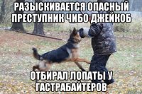 разыскивается опасный преступник чибо джейкоб отбирал лопаты у гастрабайтеров