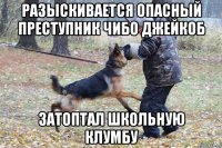 разыскивается опасный преступник чибо джейкоб затоптал школьную клумбу