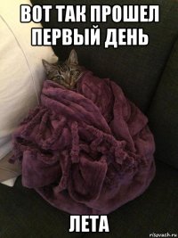 вот так прошел первый день лета