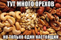 тут много орехов но только один настоящий